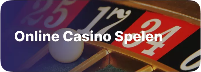 Online casino spelen